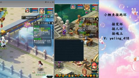 接命魂之玉 人环 宠环