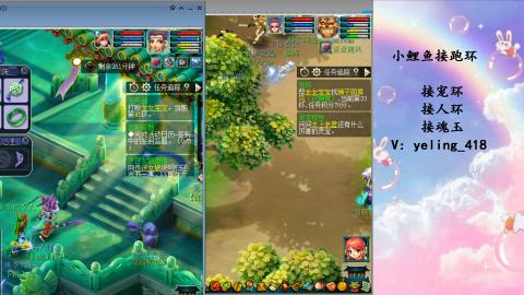 接命魂之玉 人环 宠环