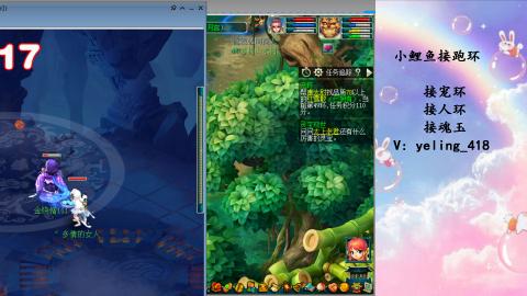 接命魂之玉 人环 宠环