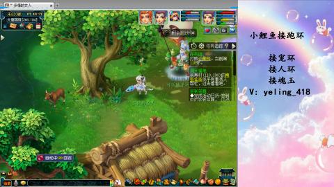 接命魂之玉 人环 宠环