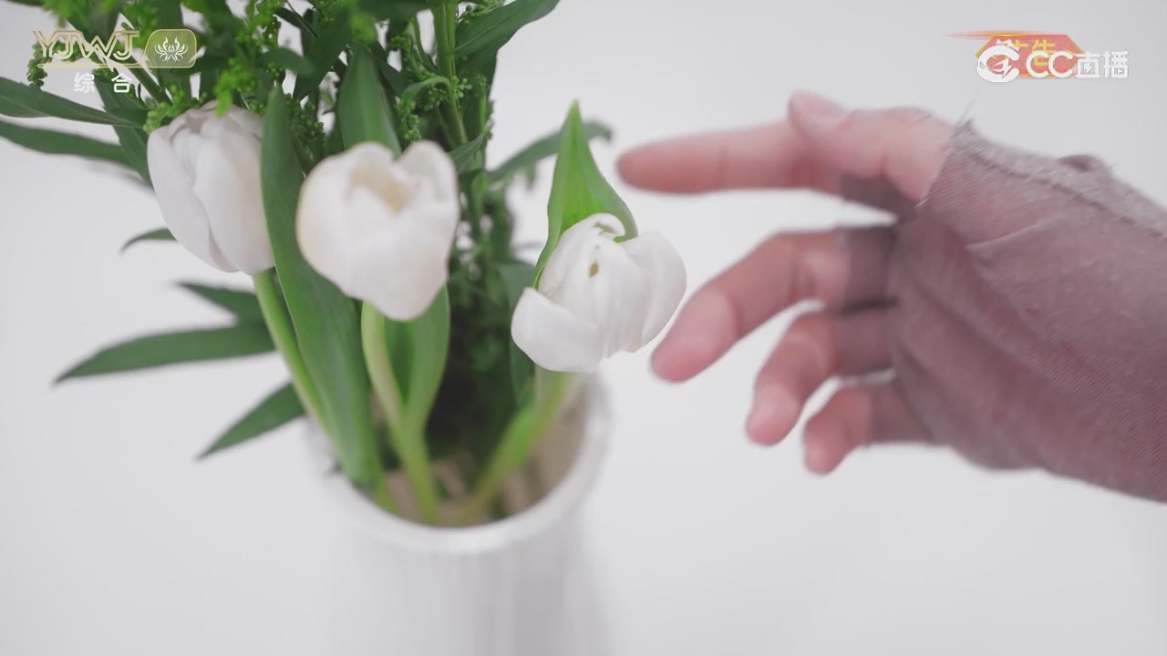 2026永劫无间新春会——武道新途全片回顾