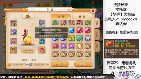 接大海龟活动最后俩天