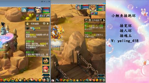 接命魂之玉 人环 宠环