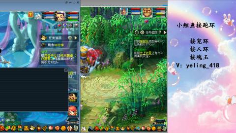 接命魂之玉 人环 宠环