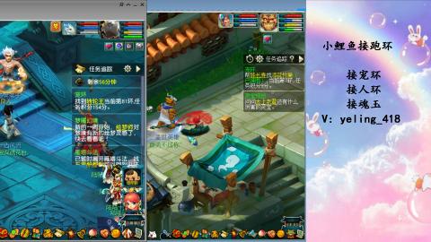 接命魂之玉 人环 宠环