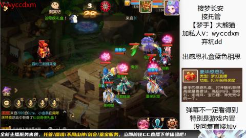 接大海龟活动最后俩天