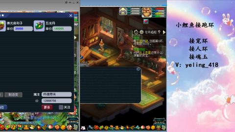 接命魂之玉 人环 宠环