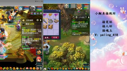 接命魂之玉 人环 宠环