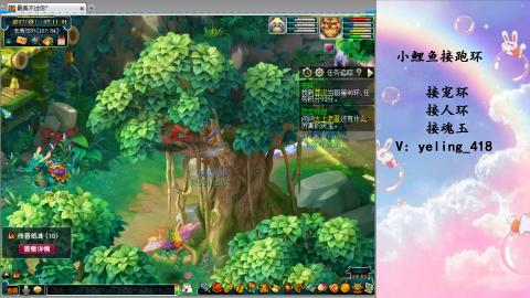 接命魂之玉 人环 宠环