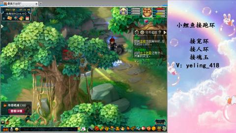 接命魂之玉 人环 宠环