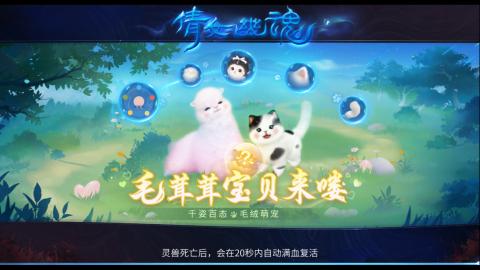 接升级~托管 打造