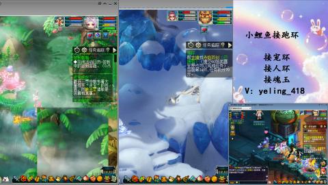 接命魂之玉 人环 宠环