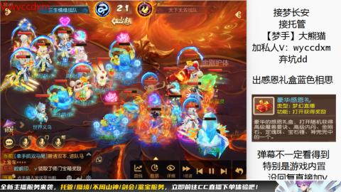 接大海龟活动最后俩天