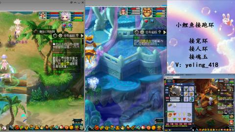 接命魂之玉 人环 宠环