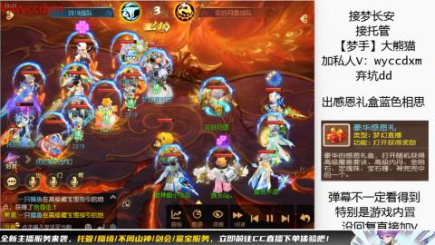 接大海龟活动最后俩天