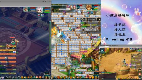 接命魂之玉 人环 宠环