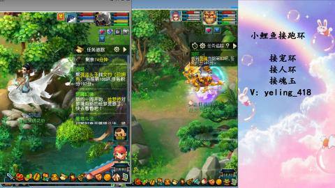 接命魂之玉 人环 宠环