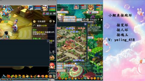 接命魂之玉 人环 宠环