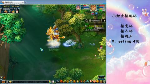 接命魂之玉 人环 宠环