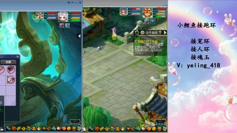 接命魂之玉 人环 宠环