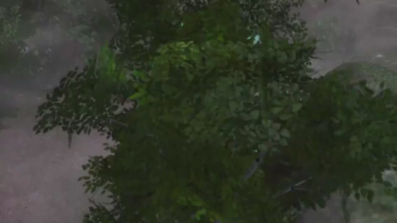 梦幻西游动画片第一季第6集