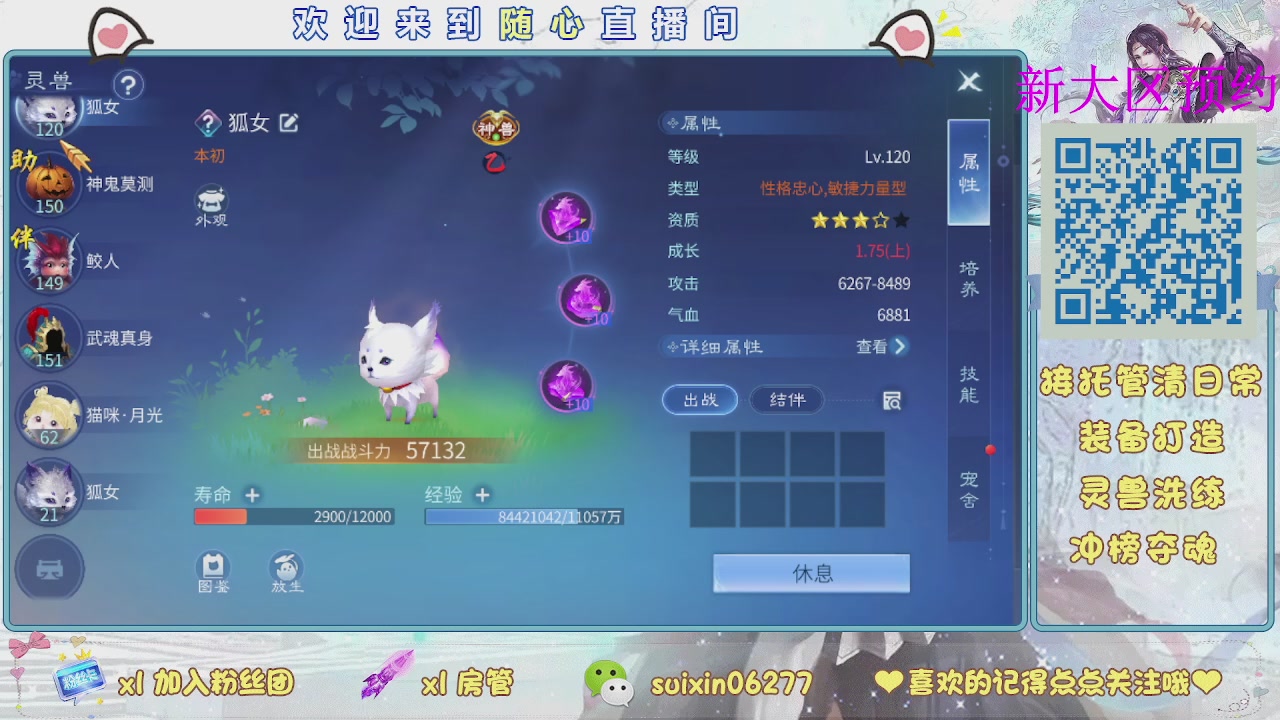 接升级，托管，打造，夺魂，看好改号