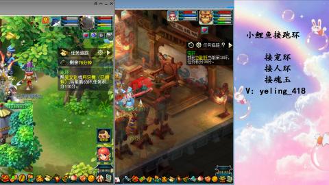 接命魂之玉 人环 宠环