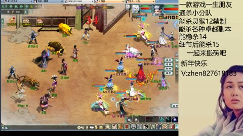 无属性双盘小分队