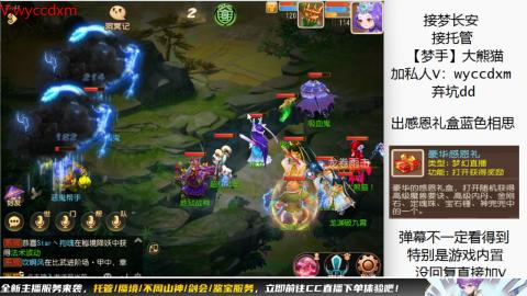 接大海龟活动最后俩天