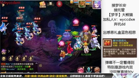 接大海龟活动最后俩天