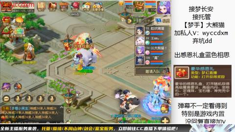 接大海龟活动最后俩天