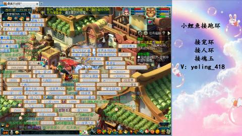 接命魂之玉 人环 宠环