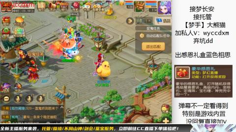 接大海龟活动最后俩天