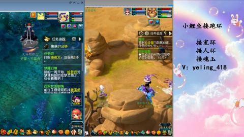 接命魂之玉 人环 宠环