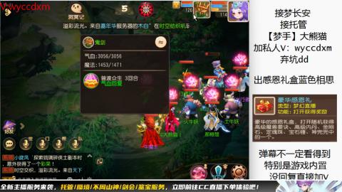 接大海龟活动最后俩天