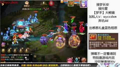 接大海龟活动最后俩天