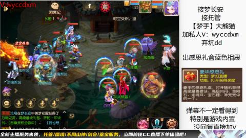 接大海龟活动最后俩天