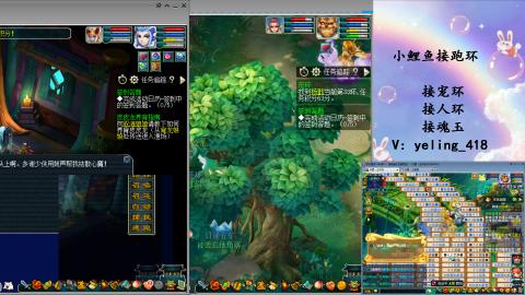 接命魂之玉 人环 宠环