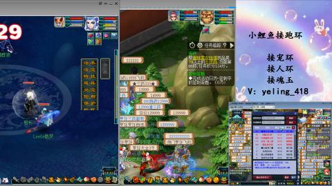 接命魂之玉 人环 宠环