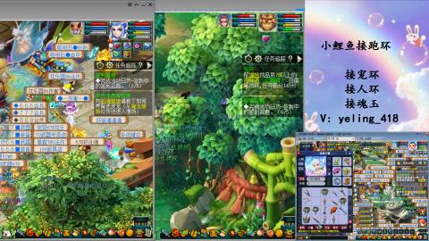 接命魂之玉 人环 宠环