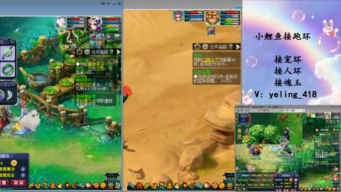 接命魂之玉 人环 宠环