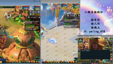 接命魂之玉 人环 宠环