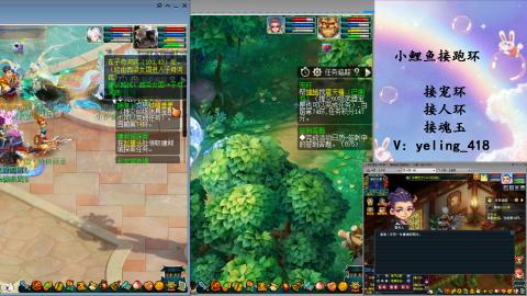 接命魂之玉 人环 宠环