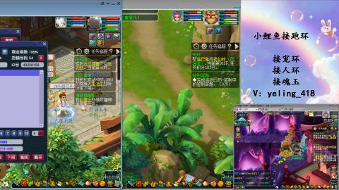 接命魂之玉 人环 宠环