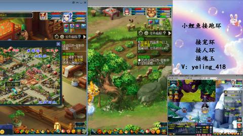 接命魂之玉 人环 宠环