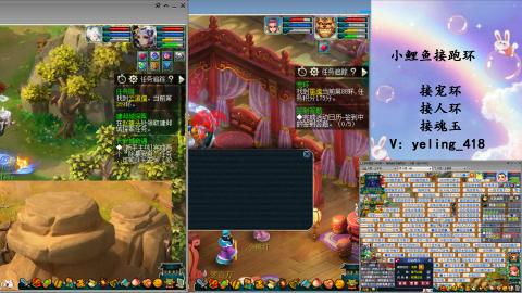 接命魂之玉 人环 宠环