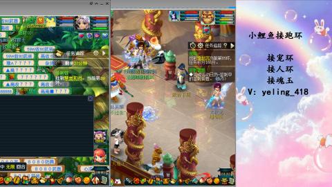 接命魂之玉 人环 宠环