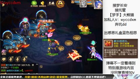 接大海龟活动最后俩天