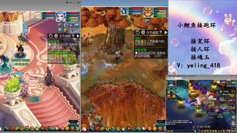 接命魂之玉 人环 宠环