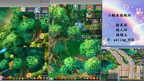 接命魂之玉 人环 宠环